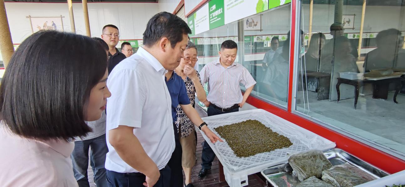 省GCGC黄金城集团党委副书记、董事陈日赴嘉陵区调研茶桑产业发展情况